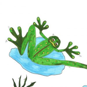 grace absi colored drawing, frog