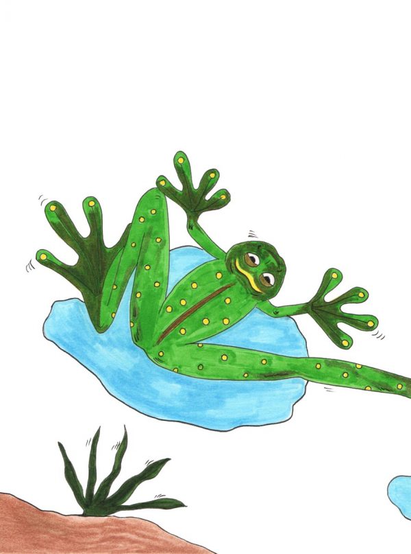 grace absi colored drawing, frog