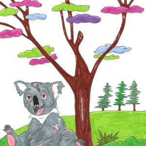 Grace Absi drawing for children, Koala