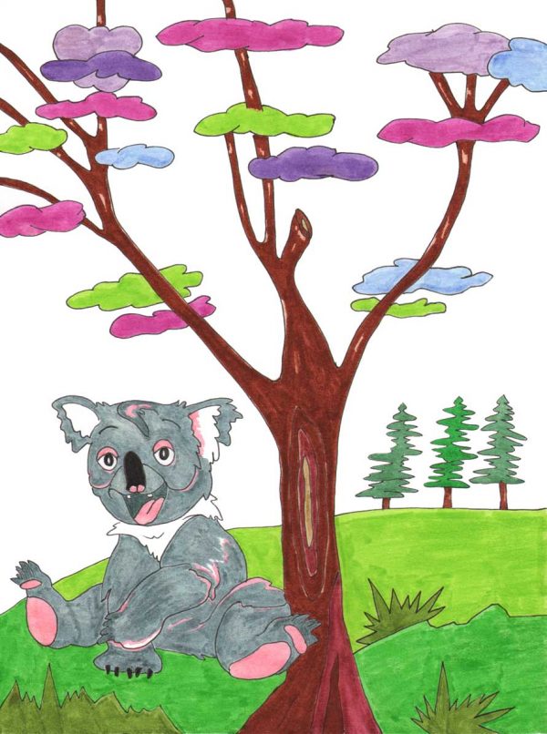 Grace Absi drawing for children, Koala